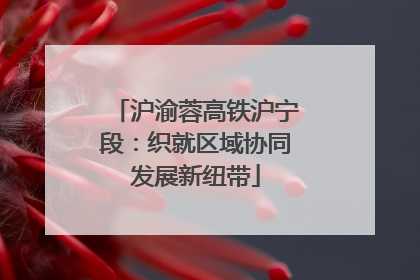沪渝蓉高铁沪宁段：织就区域协同发展新纽带