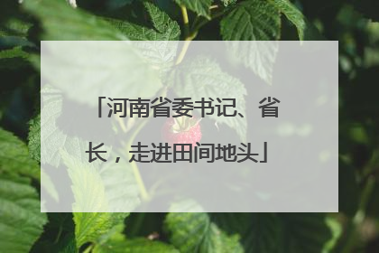 河南省委书记、省长，走进田间地头