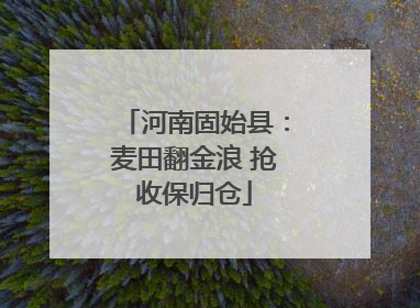 河南固始县：麦田翻金浪 抢收保归仓