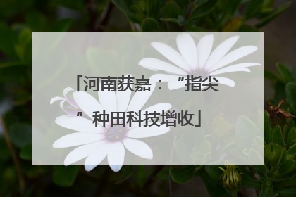 河南获嘉：“指尖”种田科技增收