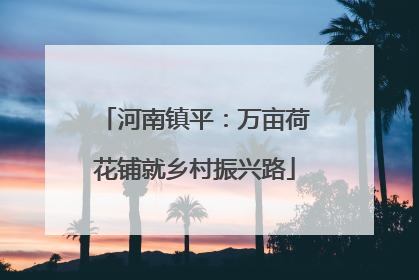 河南镇平：万亩荷花铺就乡村振兴路