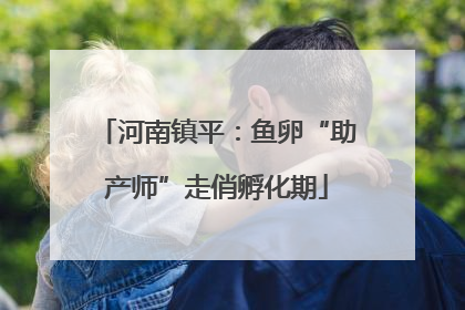 河南镇平：鱼卵“助产师”走俏孵化期