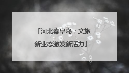 河北秦皇岛：文旅新业态激发新活力
