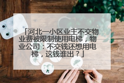 河北一小区业主不交物业费被限制使用电梯，物业公司：不交钱还想用电梯，这钱谁出？