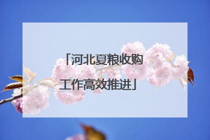 河北夏粮收购工作高效推进