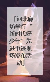 河北廊坊举行“新时代好少年”先进事迹现场发布活动