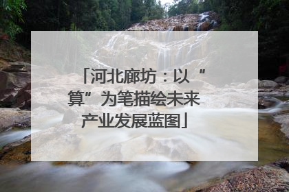 河北廊坊：以“算”为笔描绘未来产业发展蓝图