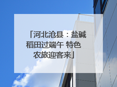 河北沧县：盐碱稻田过端午 特色农旅迎客来