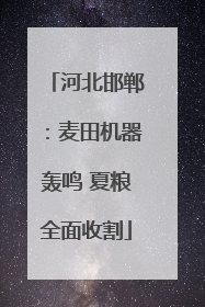 河北邯郸：麦田机器轰鸣 夏粮全面收割