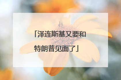 泽连斯基又要和特朗普见面了