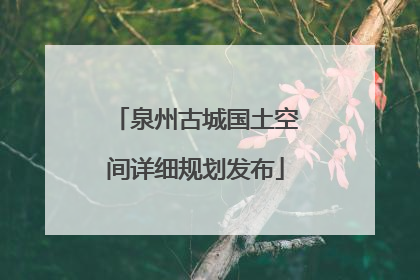 泉州古城国土空间详细规划发布