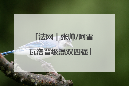 法网｜张帅/阿雷瓦洛晋级混双四强