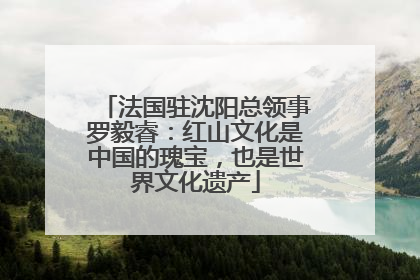 法国驻沈阳总领事罗毅睿：红山文化是中国的瑰宝，也是世界文化遗产