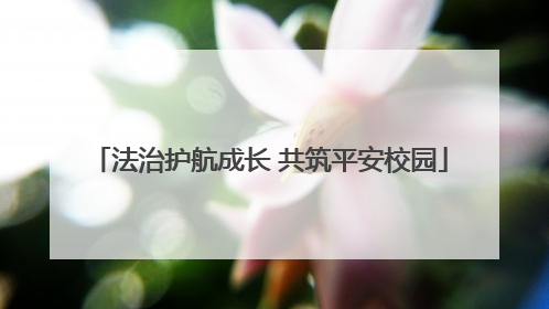 法治护航成长 共筑平安校园