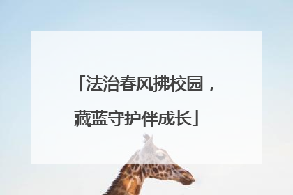 法治春风拂校园，藏蓝守护伴成长