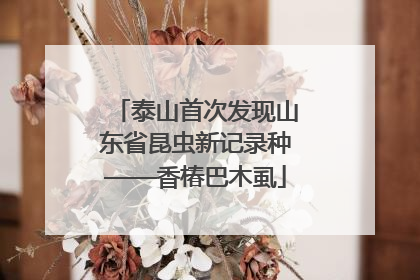 泰山首次发现山东省昆虫新记录种——香椿巴木虱