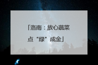 洛南：放心蔬菜点“绿”成金