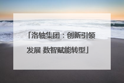 洛轴集团：创新引领发展 数智赋能转型