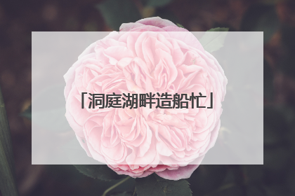 洞庭湖畔造船忙