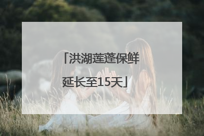 洪湖莲蓬保鲜延长至15天