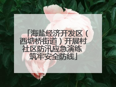 海盐经济开发区（西塘桥街道）开展村社区防汛应急演练 筑牢安全防线