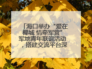 海口举办“爱在椰城 情牵军营”军地青年联谊活动，搭建交流平台深化双拥工作