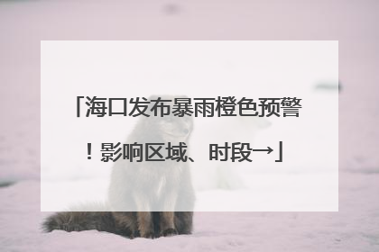 海口发布暴雨橙色预警！影响区域、时段→