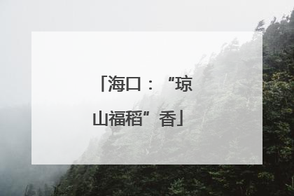海口：“琼山福稻”香