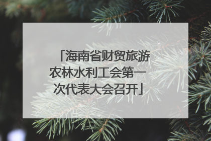 海南省财贸旅游农林水利工会第一次代表大会召开