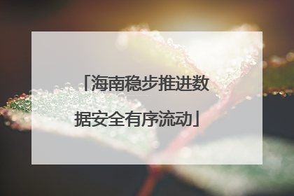海南稳步推进数据安全有序流动