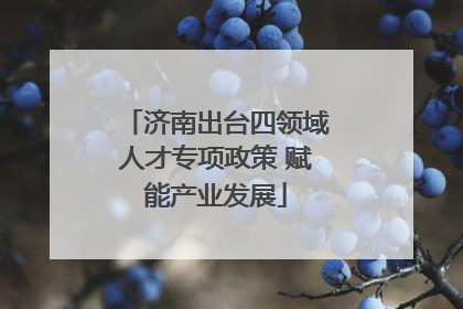 济南出台四领域人才专项政策 赋能产业发展