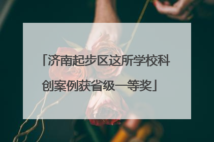 济南起步区这所学校科创案例获省级一等奖