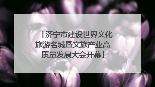济宁市建设世界文化旅游名城暨文旅产业高质量发展大会开幕