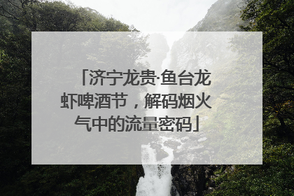 济宁龙贵·鱼台龙虾啤酒节，解码烟火气中的流量密码
