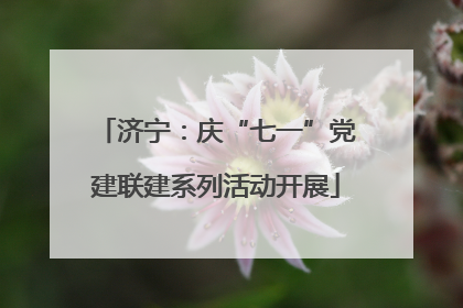 济宁：庆“七一”党建联建系列活动开展