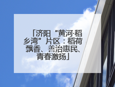 济阳“黄河·稻乡湾”片区：稻荷飘香、善治惠民、青春激扬