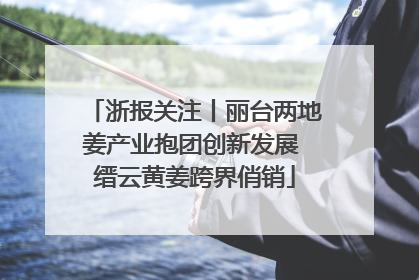 浙报关注丨丽台两地姜产业抱团创新发展 缙云黄姜跨界俏销