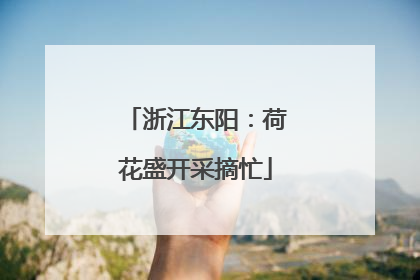 浙江东阳：荷花盛开采摘忙