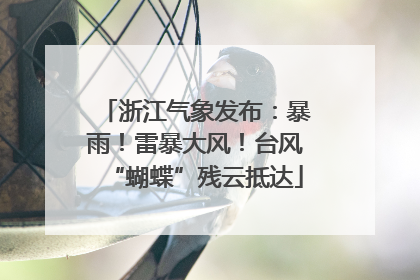 浙江气象发布：暴雨！雷暴大风！台风“蝴蝶”残云抵达