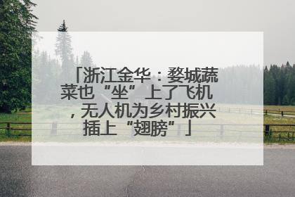 浙江金华：婺城蔬菜也“坐”上了飞机，无人机为乡村振兴插上“翅膀”