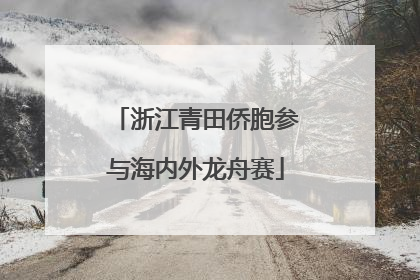 浙江青田侨胞参与海内外龙舟赛
