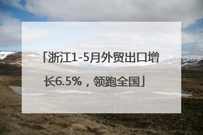 浙江1-5月外贸出口增长6.5%，领跑全国