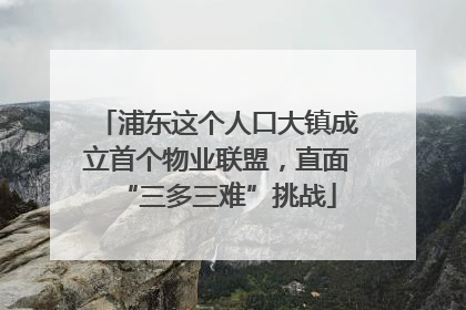 浦东这个人口大镇成立首个物业联盟，直面“三多三难”挑战
