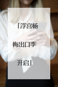 浮宫杨梅出口季开启