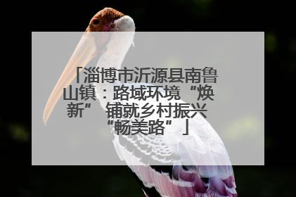 淄博市沂源县南鲁山镇：路域环境“焕新” 铺就乡村振兴“畅美路”