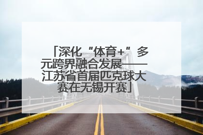 深化“体育+”多元跨界融合发展——江苏省首届匹克球大赛在无锡开赛