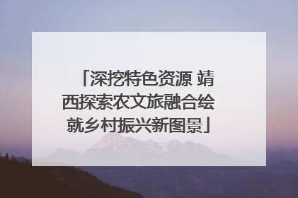 深挖特色资源 靖西探索农文旅融合绘就乡村振兴新图景