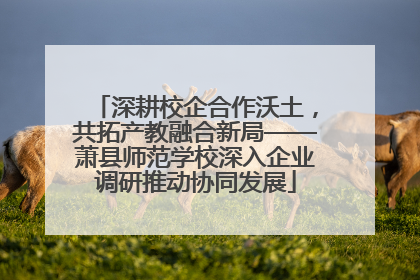 深耕校企合作沃土，共拓产教融合新局——萧县师范学校深入企业调研推动协同发展