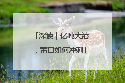 深读｜亿吨大港，莆田如何冲刺