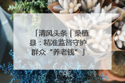 清风头条｜桑植县：精准监督守护群众“养老钱”